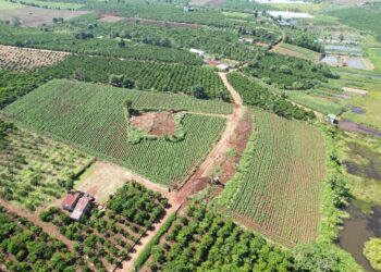 Dự án đất nền LakeView Phúc Thọ tại Lâm Đồng