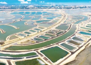 Tiến độ thi công Vinhomes Paradise Cần Giờ